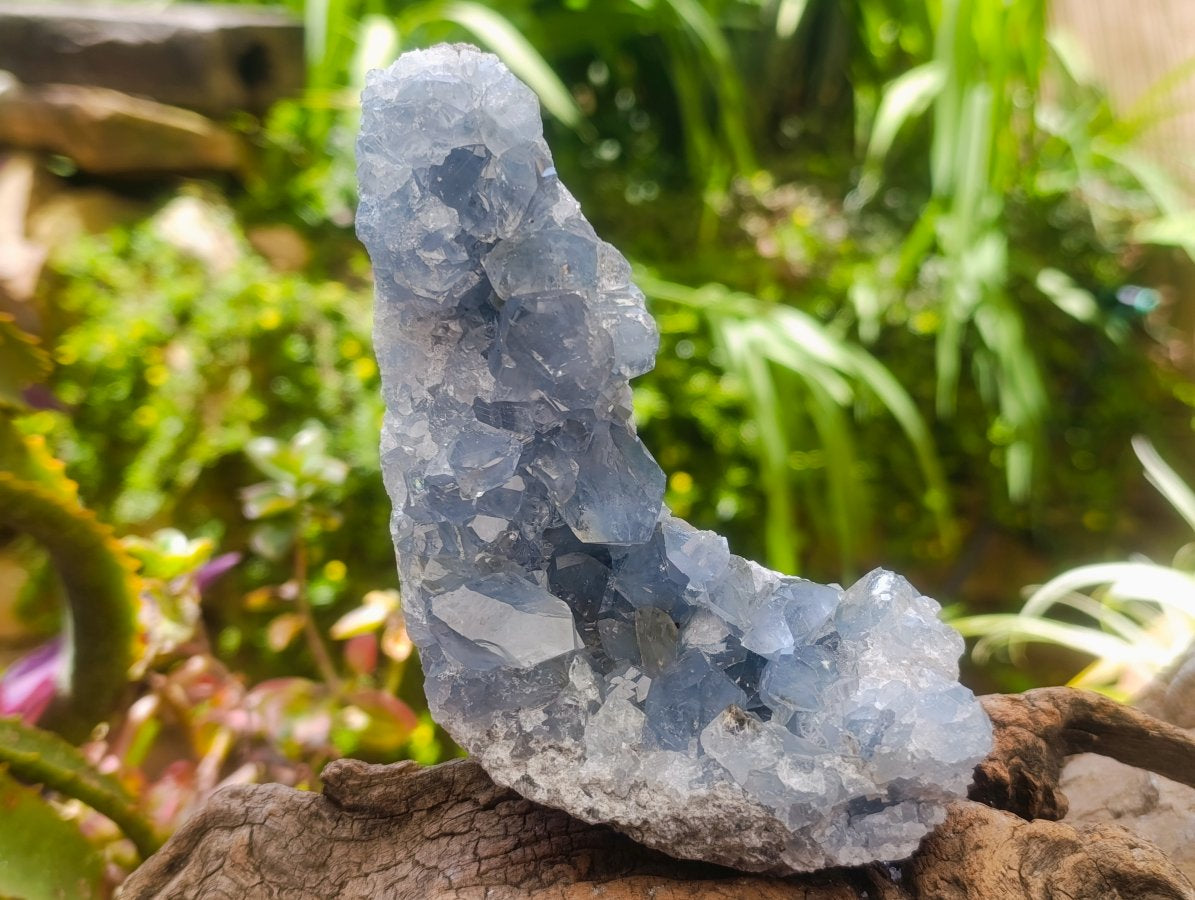 Natural Blue Celestite Specimens x 2 From Sakoany, Madagascar