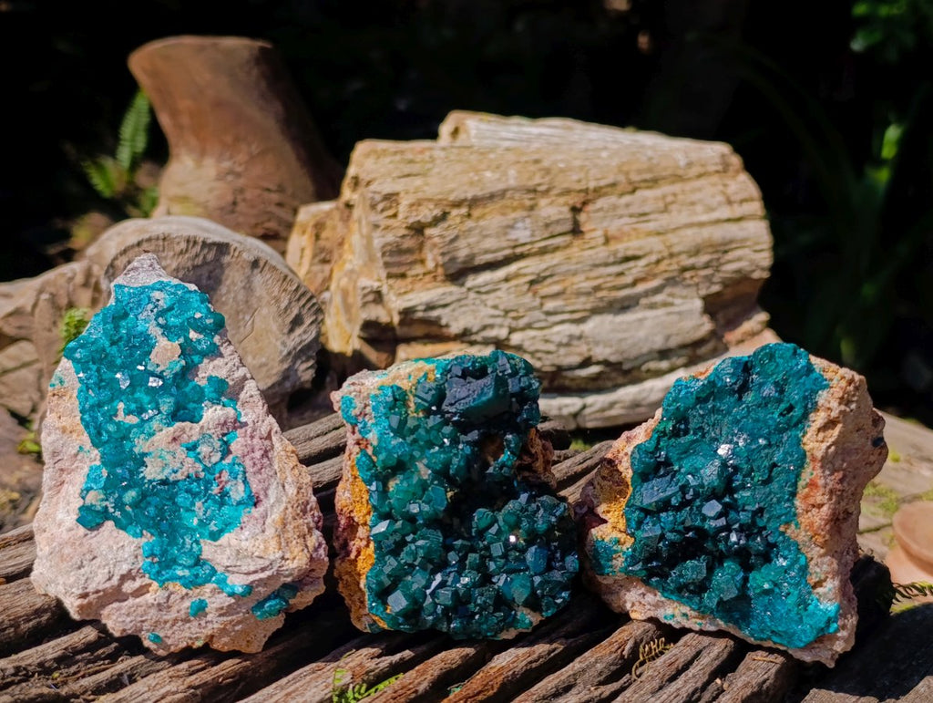 Natural Dioptase on Dolomite Specimens x 3 From Likasi, Congo