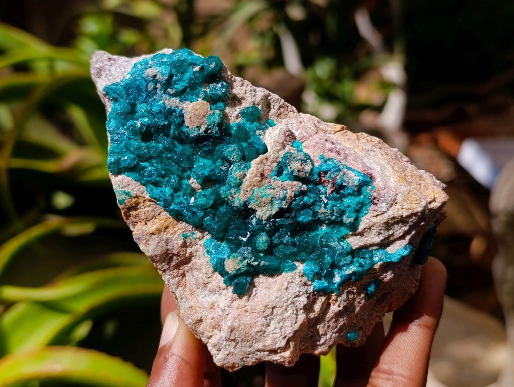 Natural Dioptase on Dolomite Specimens x 3 From Likasi, Congo