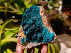 Natural Dioptase on Dolomite Specimens x 3 From Likasi, Congo