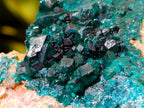 Natural Dioptase on Dolomite Specimens x 3 From Likasi, Congo