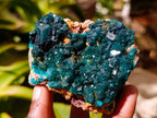 Natural Dioptase on Dolomite Specimens x 3 From Likasi, Congo