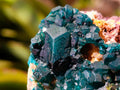 Natural Dioptase on Dolomite Specimens x 3 From Likasi, Congo