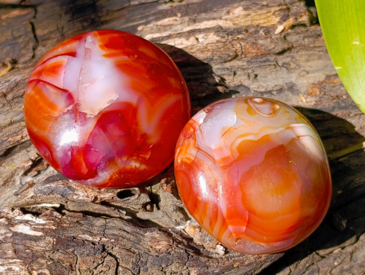 Polished Carnelian Agate Gemstone Galets x 20 From Madagascar