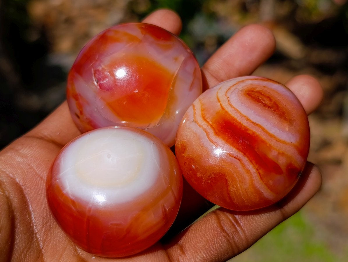 Polished Carnelian Agate Gemstone Galets x 20 From Madagascar