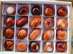 Polished Carnelian Agate Gemstone Galets x 20 From Madagascar