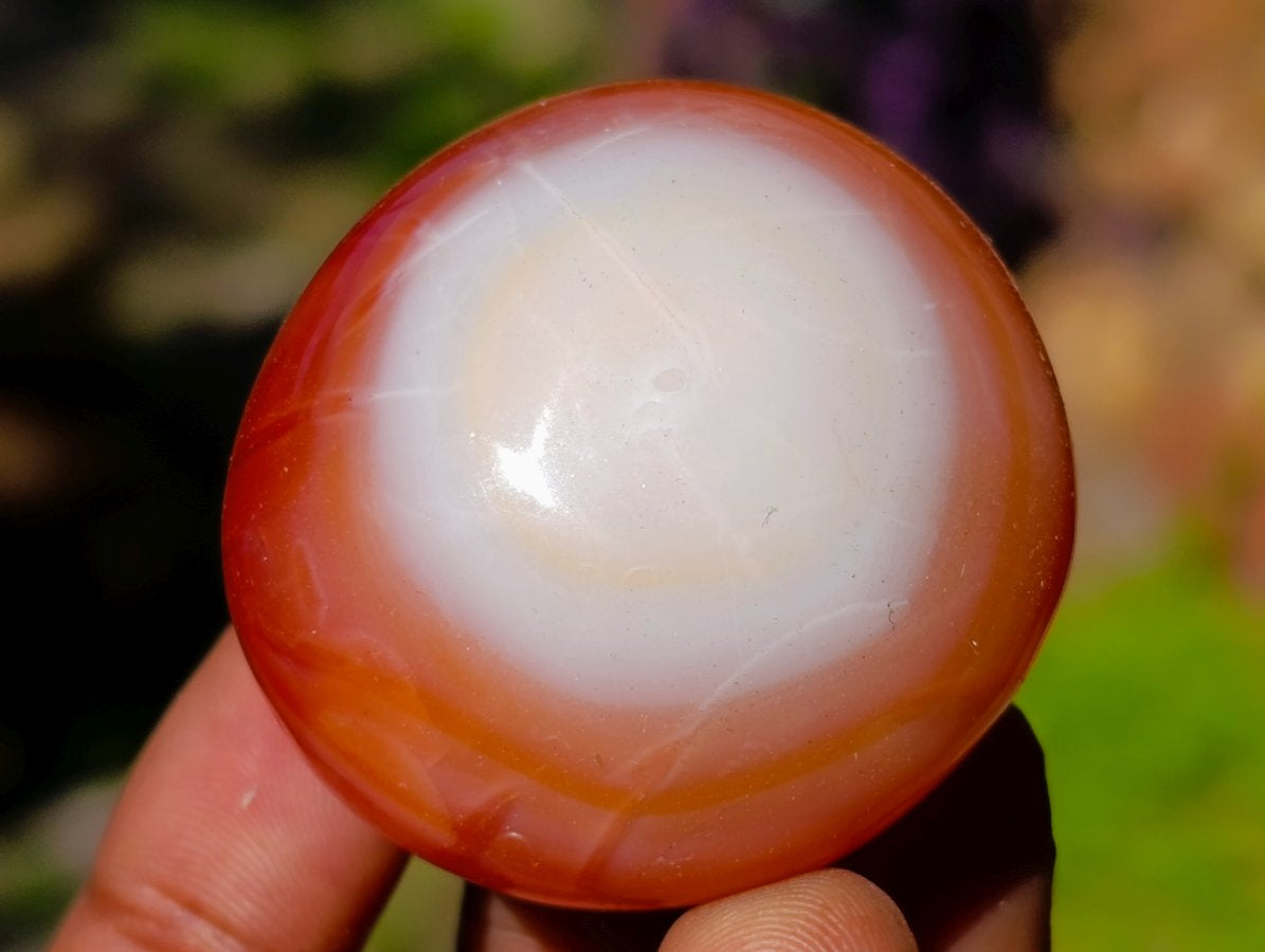 Polished Carnelian Agate Gemstone Galets x 20 From Madagascar