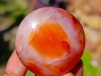 Polished Carnelian Agate Gemstone Galets x 20 From Madagascar