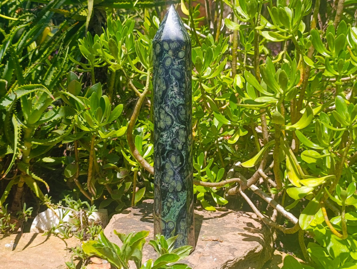 Polished Large Stromatolite Stranding Display Crystal x 1 From Katsepy, Madagascar