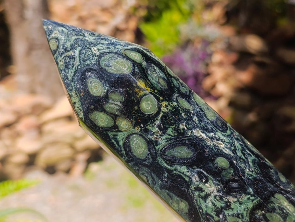 Polished Large Stromatolite Stranding Display Crystal x 1 From Katsepy, Madagascar