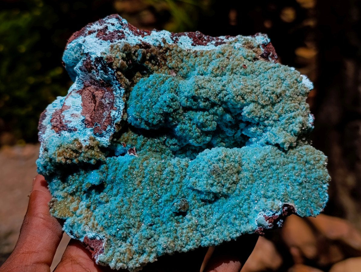 Natural Drusy Coated Chrysocolla and Malachite Specimens x 2 From Lupoto Mine, Congo