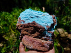 Natural Drusy Coated Chrysocolla and Malachite Specimens x 2 From Lupoto Mine, Congo
