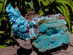 Natural Drusy Coated Chrysocolla and Malachite Specimens x 2 From Lupoto Mine, Congo