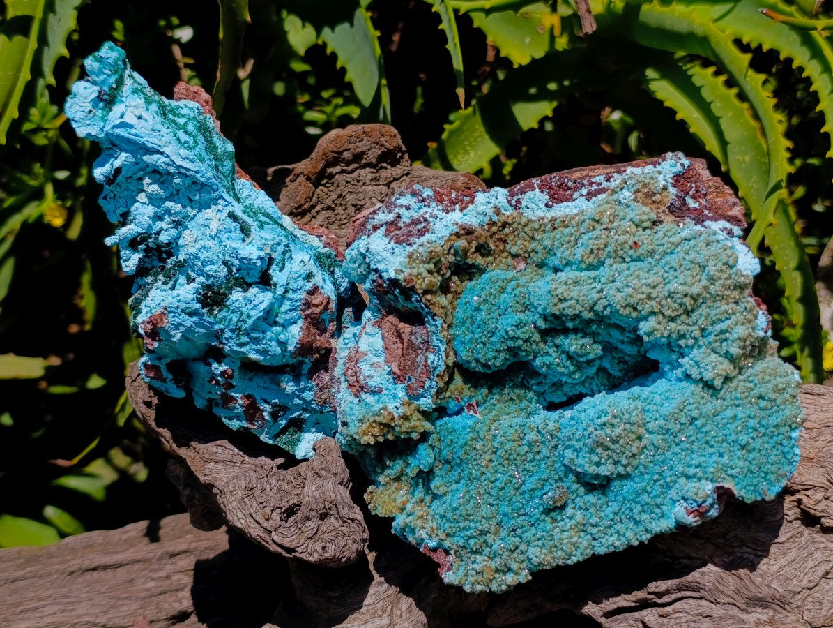 Natural Drusy Coated Chrysocolla and Malachite Specimens x 2 From Lupoto Mine, Congo