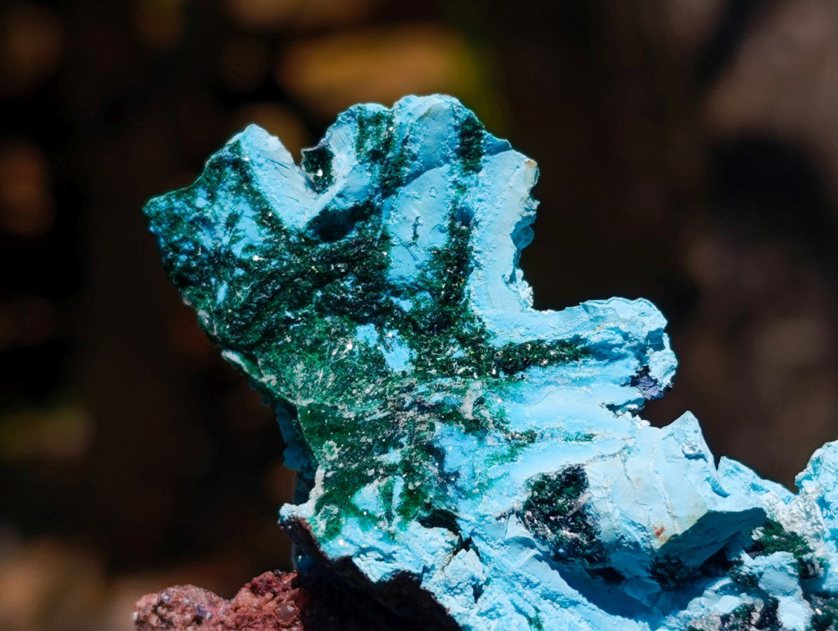 Natural Drusy Coated Chrysocolla and Malachite Specimens x 2 From Lupoto Mine, Congo