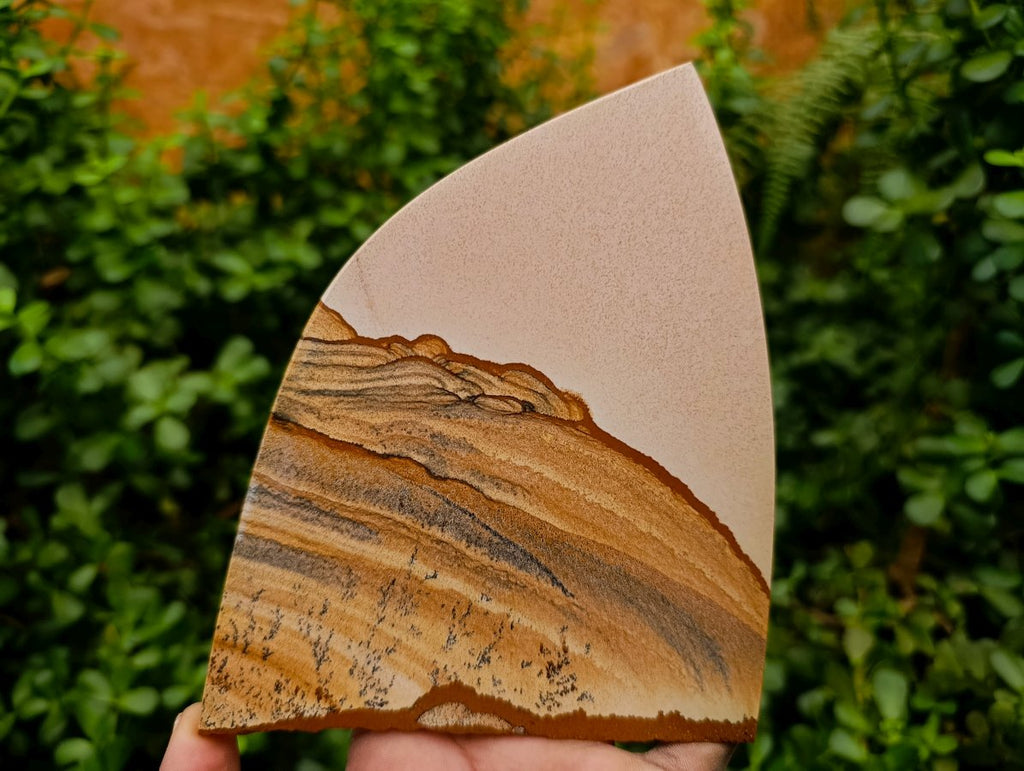 Polished Picture Stone Jasper Slices x 4 From Ais-Ais, Namibia