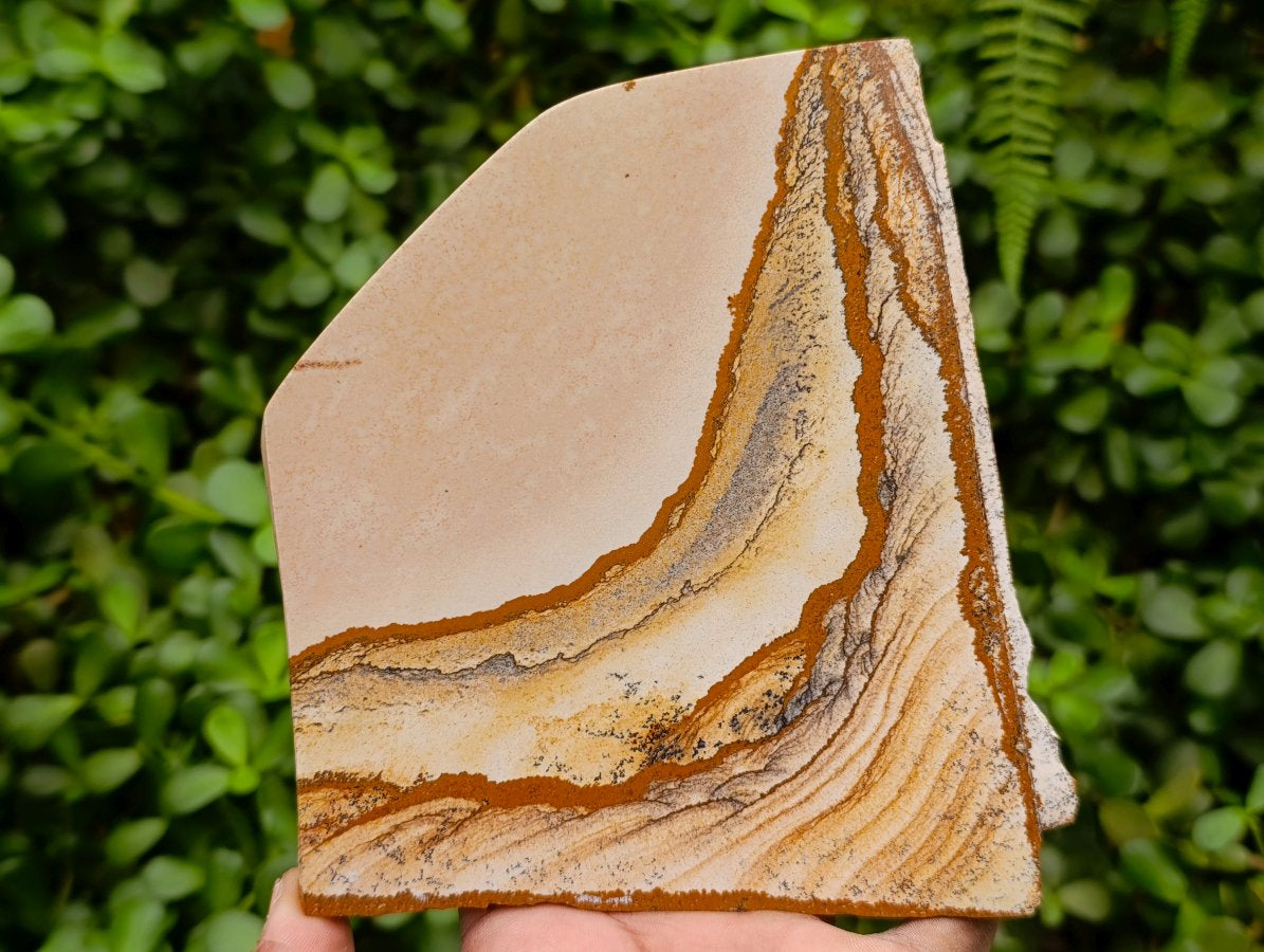 Polished Picture Stone Jasper Slices x 4 From Ais-Ais, Namibia