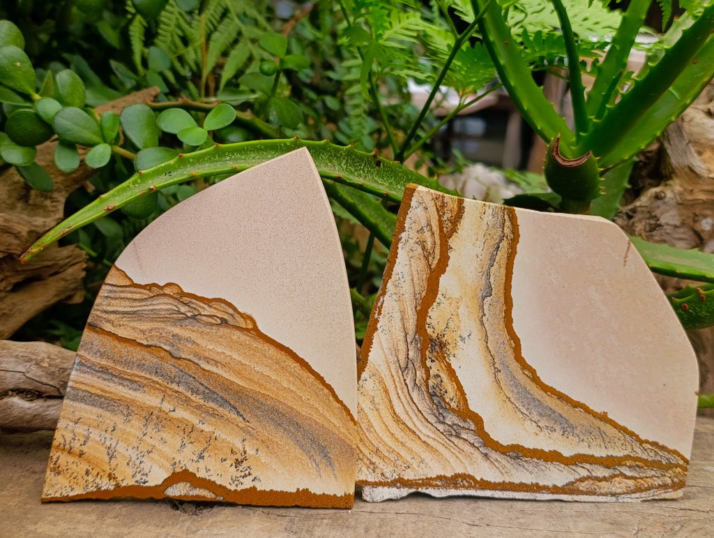 Polished Picture Stone Jasper Slices x 4 From Ais-Ais, Namibia