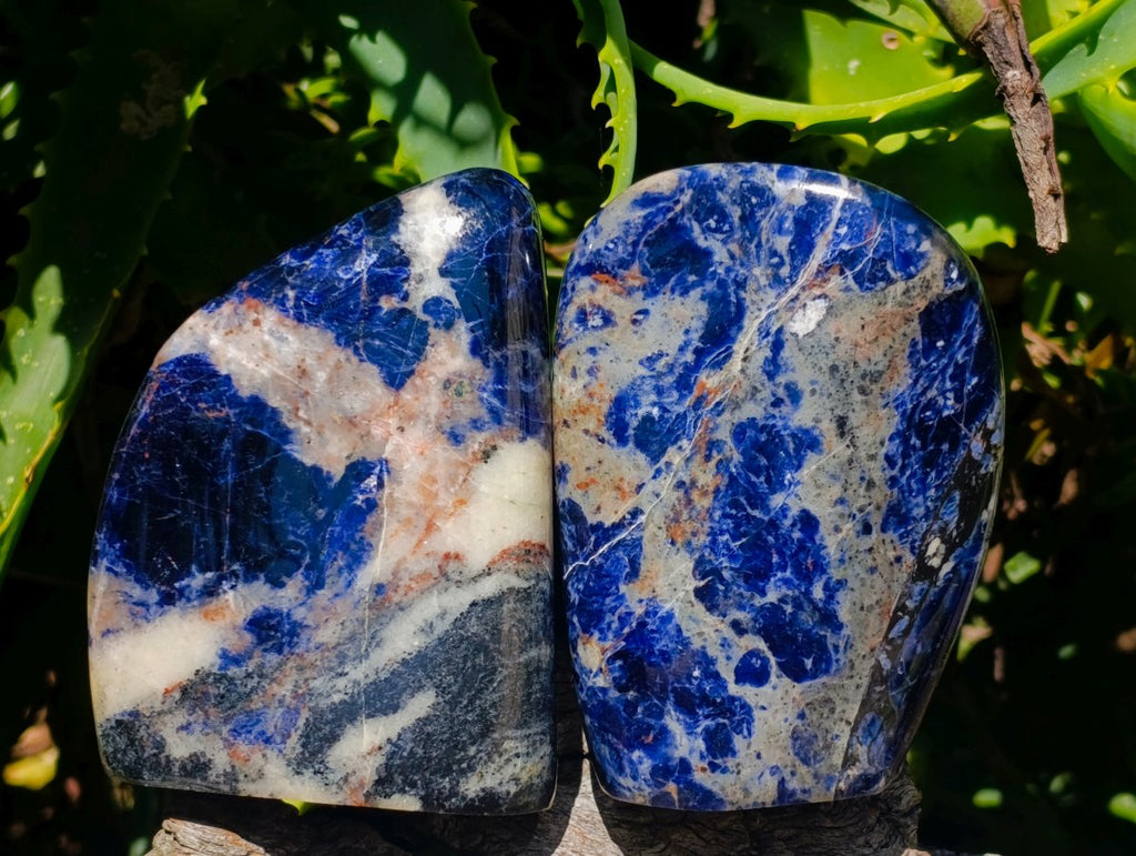 Polished Sodalite Standing Free Forms x 3 From Kunene River, Namibia