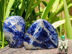 Polished Sodalite Standing Free Forms x 3 From Kunene River, Namibia