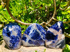 Polished Sodalite Standing Free Forms x 3 From Kunene River, Namibia