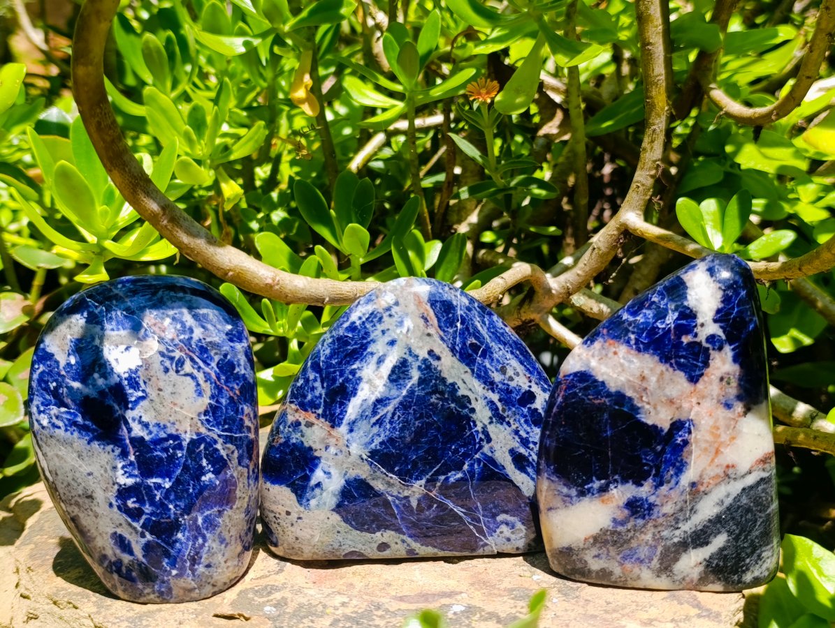 Polished Sodalite Standing Free Forms x 3 From Kunene River, Namibia