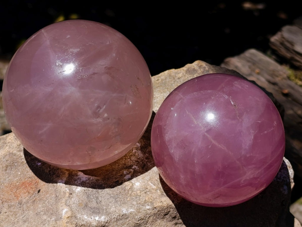 Polished Gemmy Star Rose Girasol Quartz Spheres x 2 From Madagascar