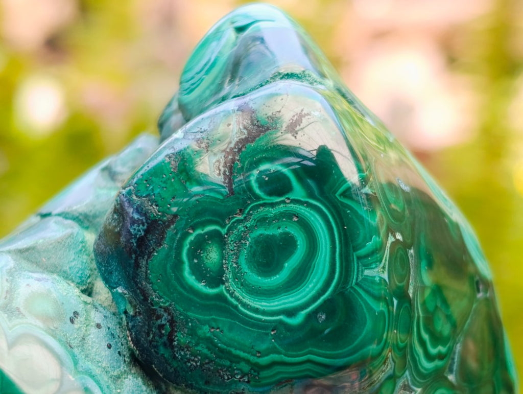Polished Flower Banded Malachite Free Forms x 2 From Congo