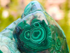 Polished Flower Banded Malachite Free Forms x 2 From Congo