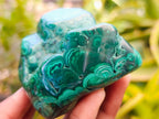 Polished Flower Banded Malachite Free Forms x 2 From Congo