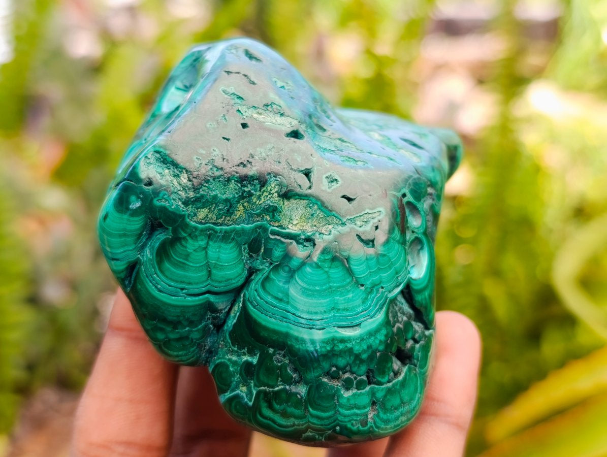 Polished Flower Banded Malachite Free Forms x 2 From Congo