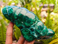 Polished Flower Banded Malachite Free Forms x 2 From Congo