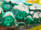 Polished Flower Banded Malachite Free Forms x 2 From Congo
