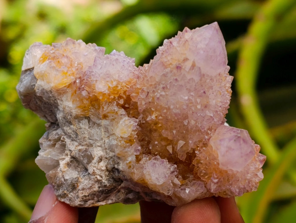 Natural Mixed Spirit Quartz Clusters x 12 From Boekenhouthoek, South Africa