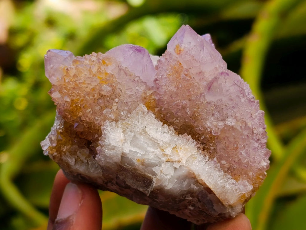 Natural Mixed Spirit Quartz Clusters x 12 From Boekenhouthoek, South Africa