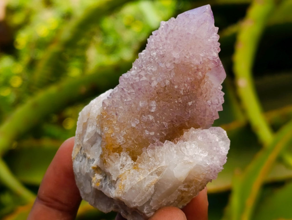 Natural Mixed Spirit Quartz Clusters x 12 From Boekenhouthoek, South Africa