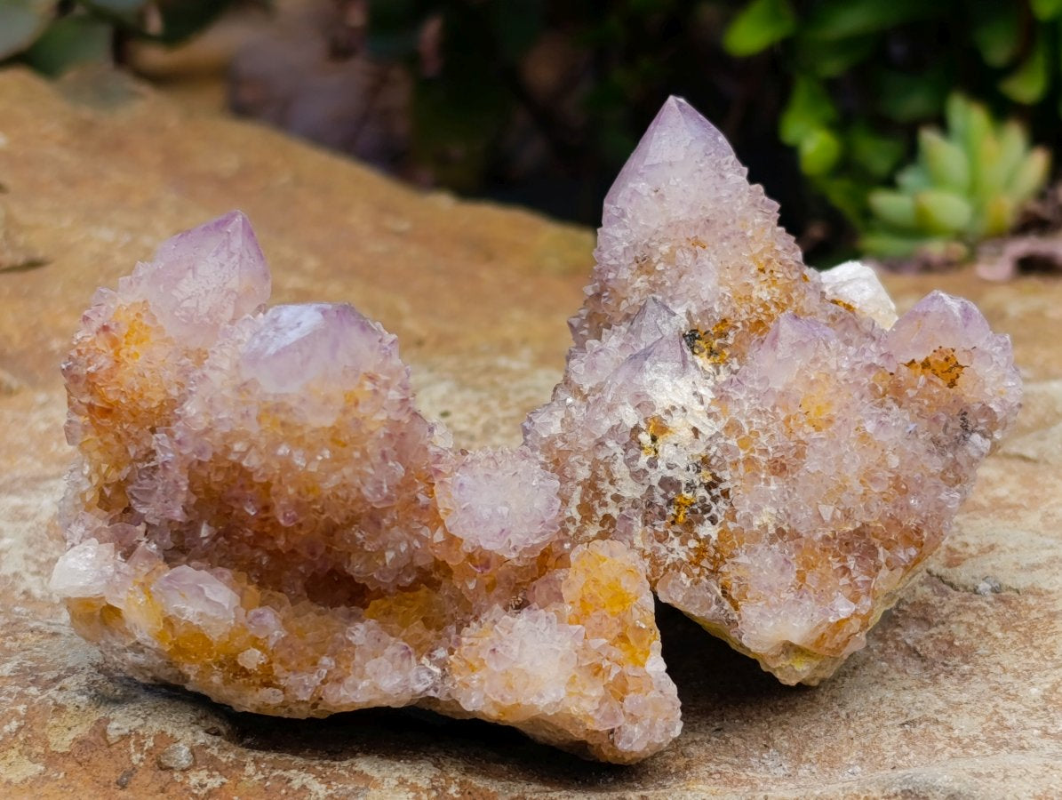Natural Mixed Spirit Quartz Clusters x 12 From Boekenhouthoek, South Africa