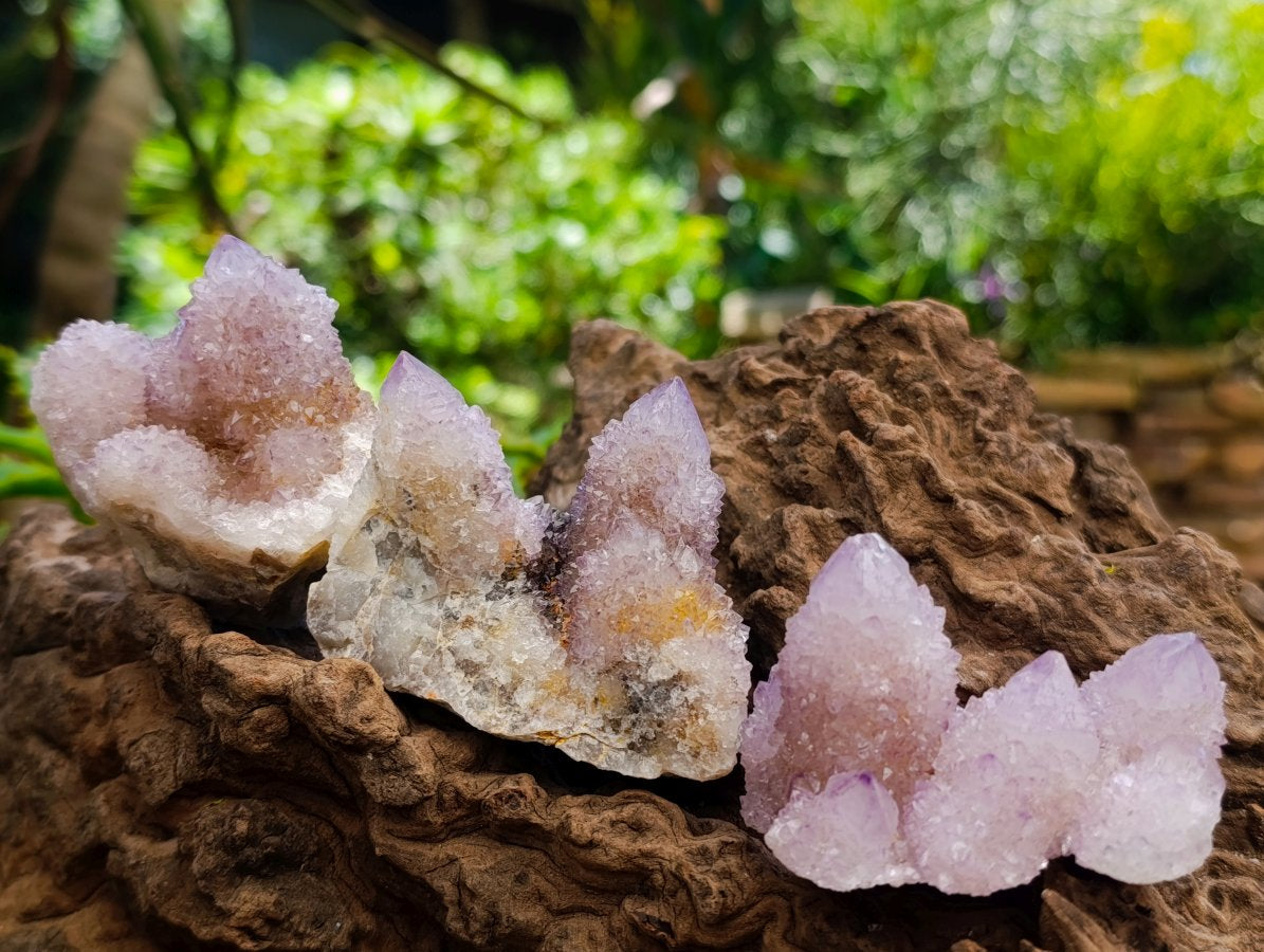 Natural Mixed Spirit Quartz Clusters x 12 From Boekenhouthoek, South Africa
