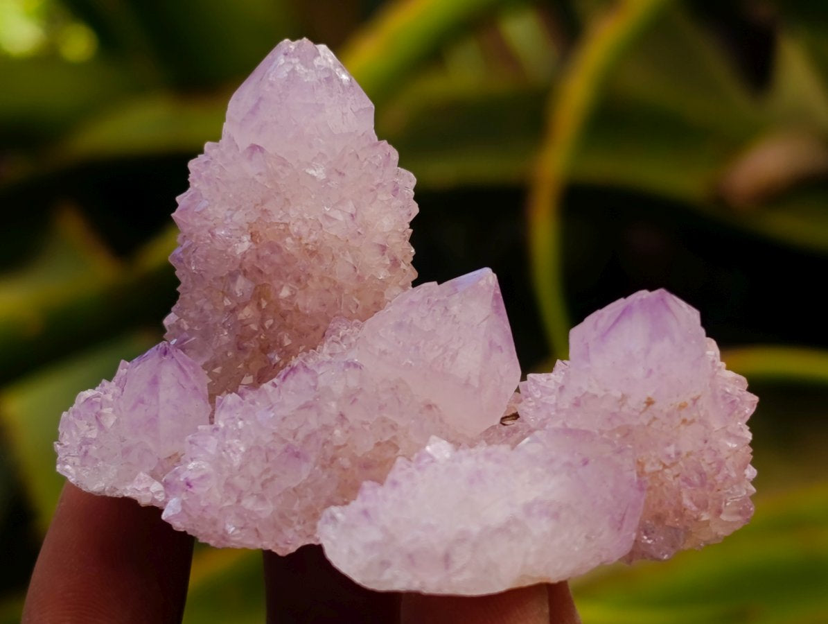 Natural Mixed Spirit Quartz Clusters x 12 From Boekenhouthoek, South Africa