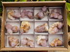 Natural Mixed Spirit Quartz Clusters x 12 From Boekenhouthoek, South Africa