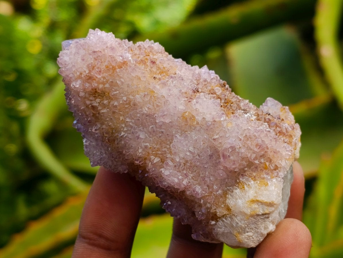 Natural Mixed Spirit Quartz Clusters x 12 From Boekenhouthoek, South Africa