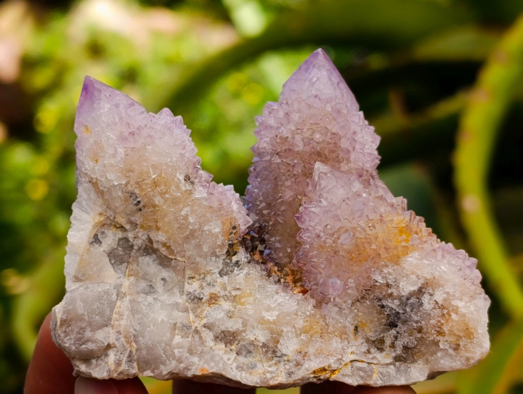 Natural Mixed Spirit Quartz Clusters x 12 From Boekenhouthoek, South Africa