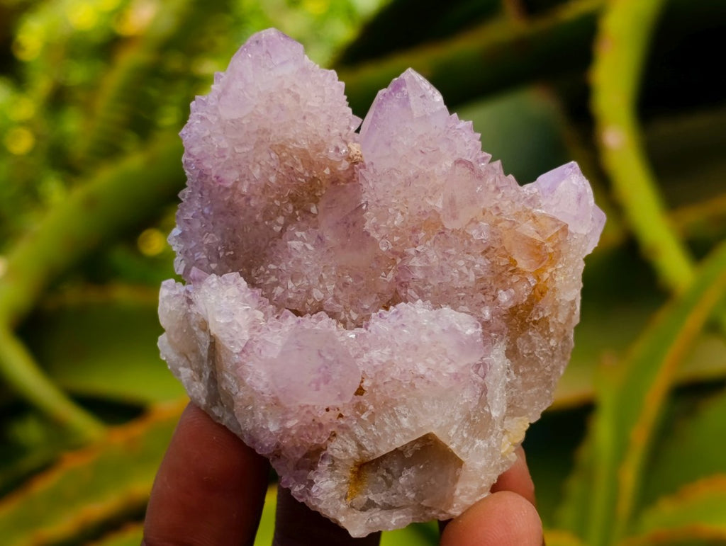 Natural Mixed Spirit Quartz Clusters x 12 From Boekenhouthoek, South Africa