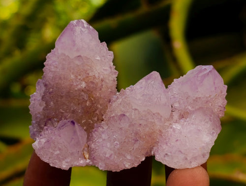 Natural Mixed Spirit Quartz Clusters x 12 From Boekenhouthoek, South Africa