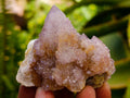 Natural Mixed Spirit Quartz Clusters x 12 From Boekenhouthoek, South Africa