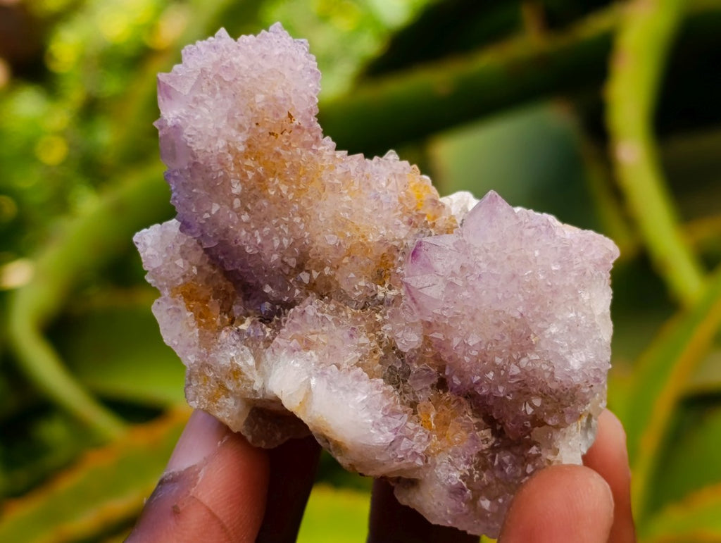 Natural Mixed Spirit Quartz Clusters x 12 From Boekenhouthoek, South Africa