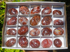 Polished Mini Red Hematoid Quartz Palm Stones x 20 From Ambatondrazaka, Madagascar