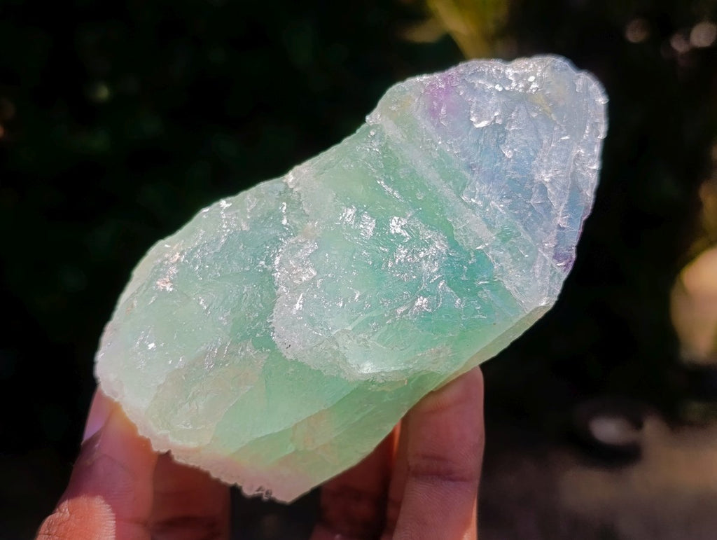 Natural Watermelon Fluorite Cobbed Specimens x 12 From Uis, Namibia