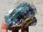 Natural Watermelon Fluorite Cobbed Specimens x 12 From Uis, Namibia