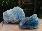 Natural Watermelon Fluorite Cobbed Specimens x 12 From Uis, Namibia